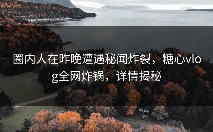 圈内人在昨晚遭遇秘闻炸裂,糖心vlog全网炸锅,详情揭秘