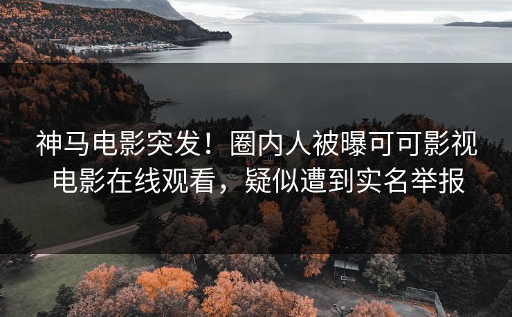 神马电影突发！圈内人被曝可可影视电影在线观看，疑似遭到实名举报