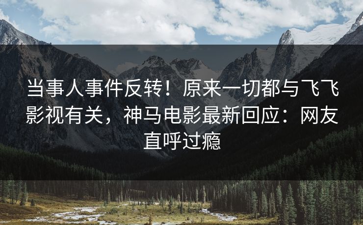 当事人事件反转！原来一切都与飞飞影视有关，神马电影最新回应：网友直呼过瘾